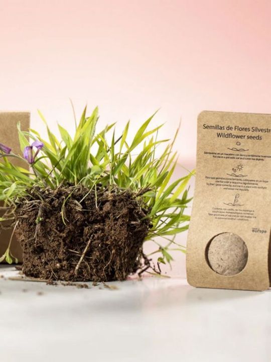 SEED BOMB IN BLISTER