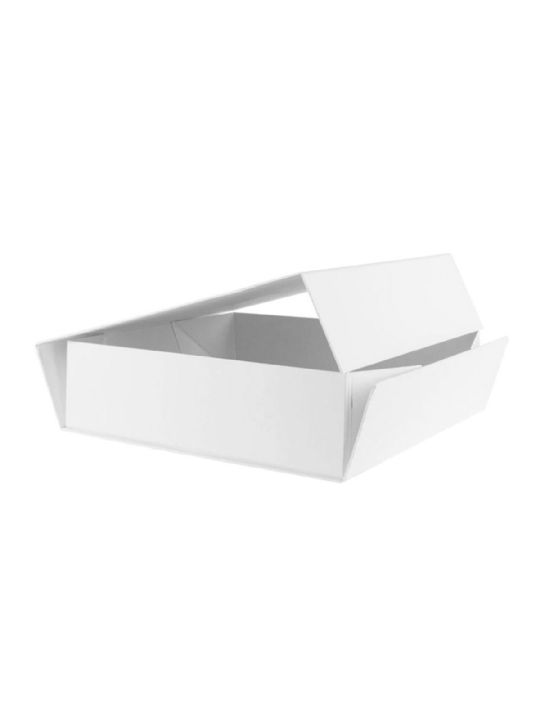 SCATOLA AUTOMONTANTE GRISELINIA