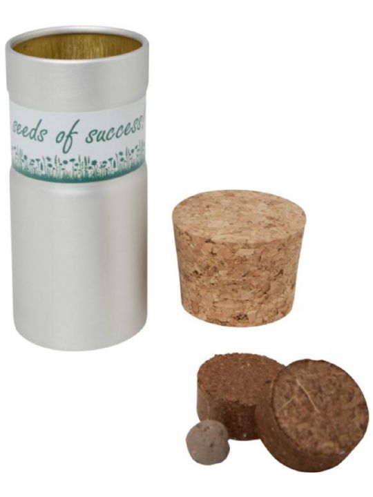 GIARDINO DA SCRIVANIA CON VASI E MIX DI ERBE