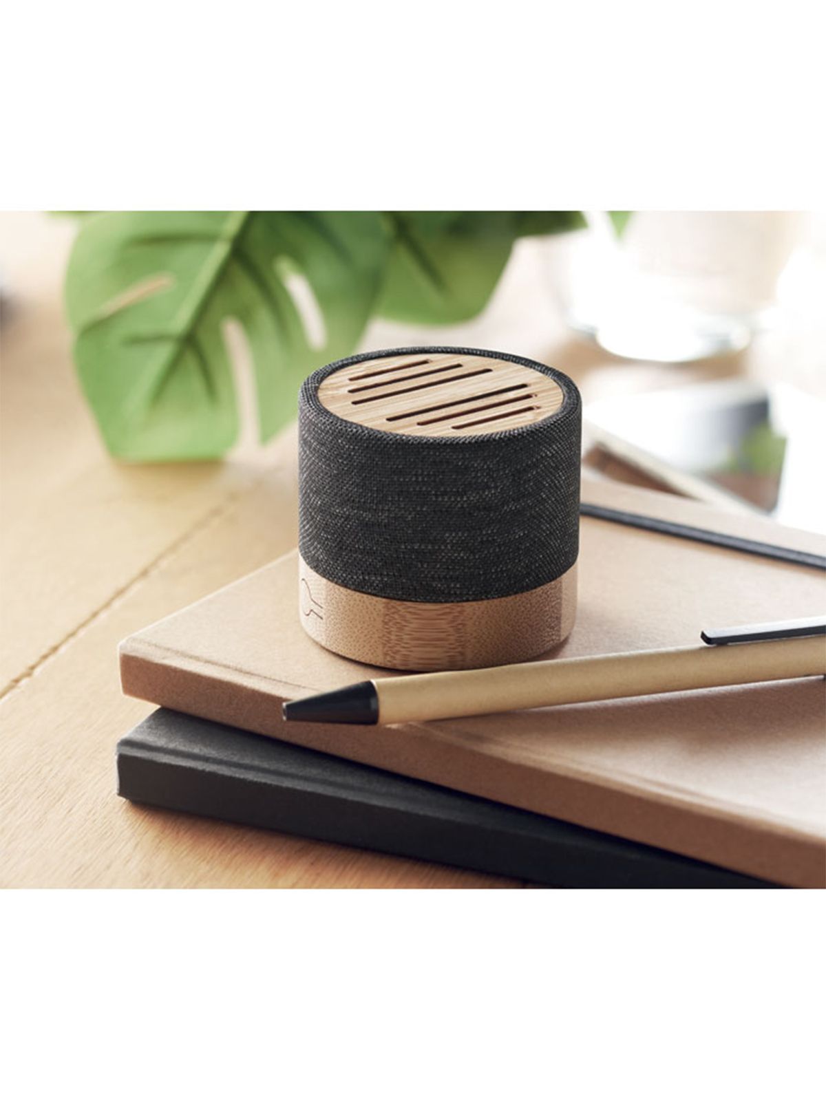 SPEAKER WIRELESS BOOL