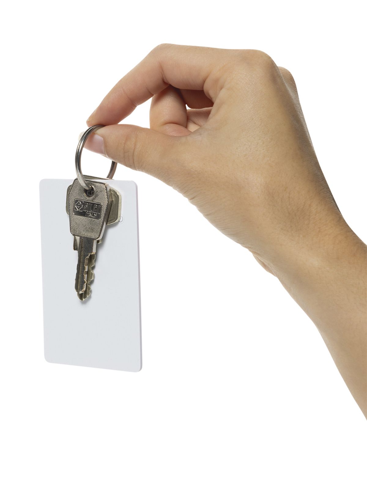 CART RICARICABILE FINDIT