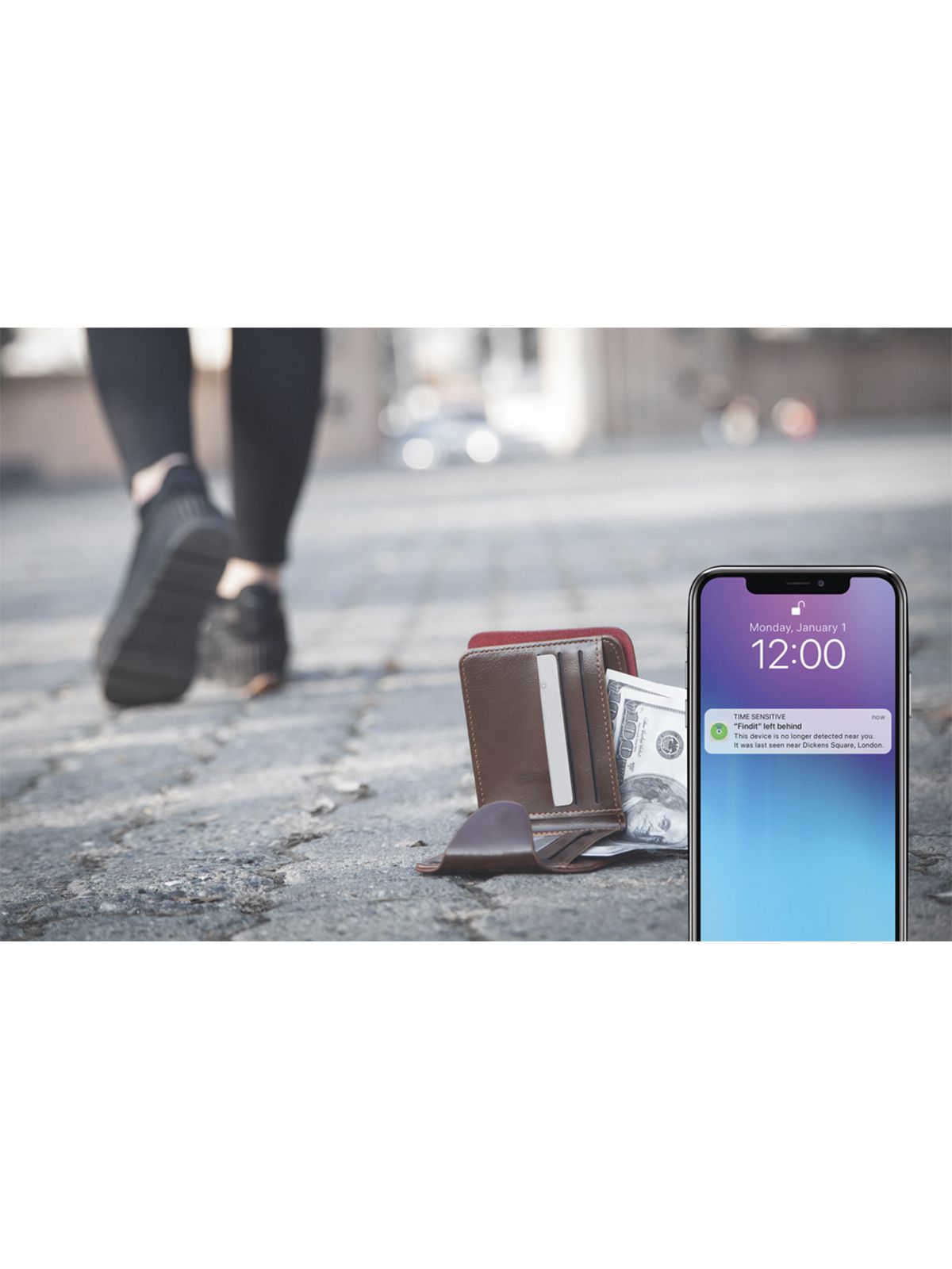 CART RICARICABILE FINDIT