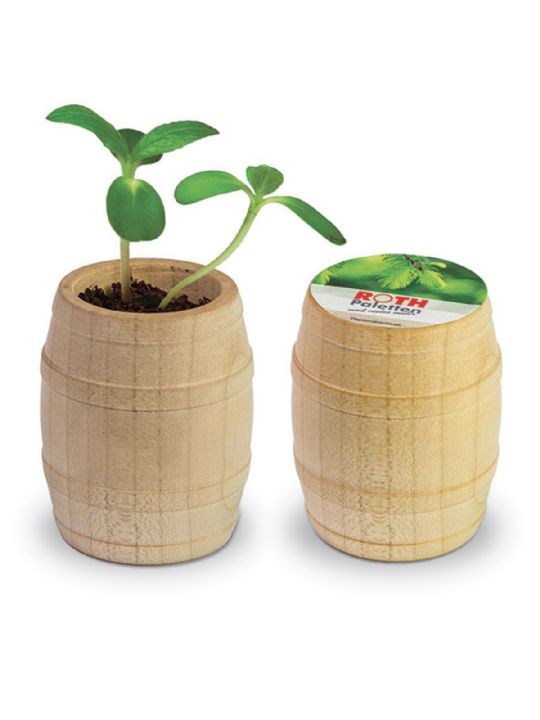 BARILE PER PIANTE IN LEGNO