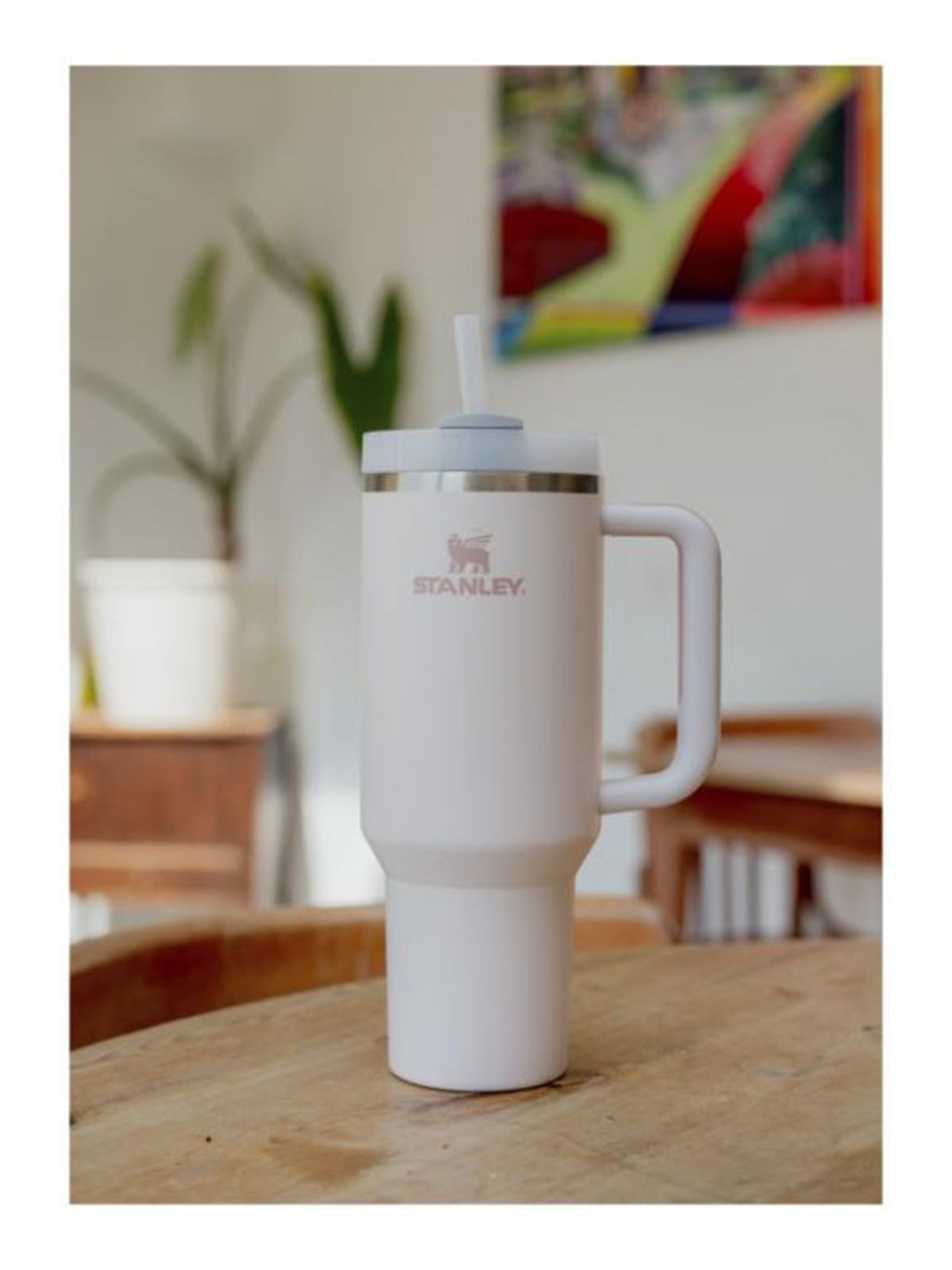 BORRACCIA STANLEY 1200