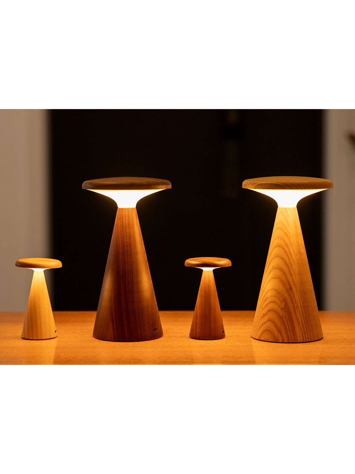 LAMPADA DA TAVOLO SYLVA