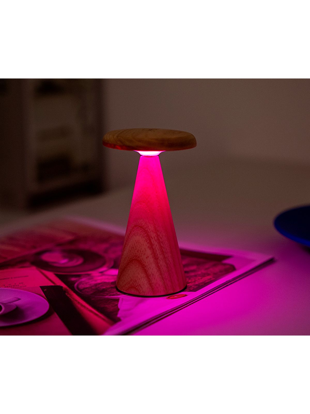 LAMPADA DA TAVOLO SYLVA