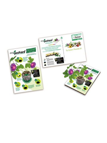 ECO-POSTCARD