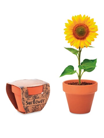SUNFLOWER POT