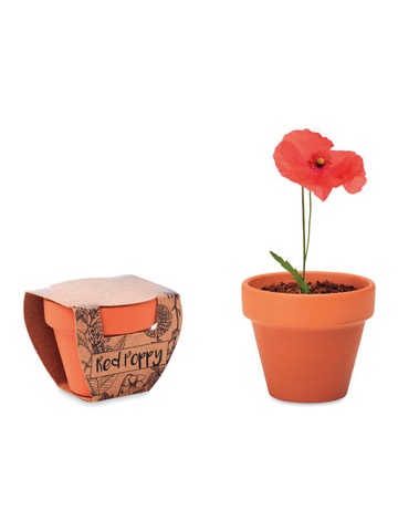 FLOWER POT POPPY