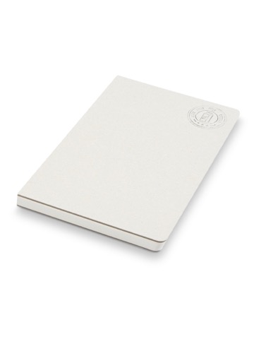 NOTEBOOK A5 SENZA DORSO DAIRY DREAM