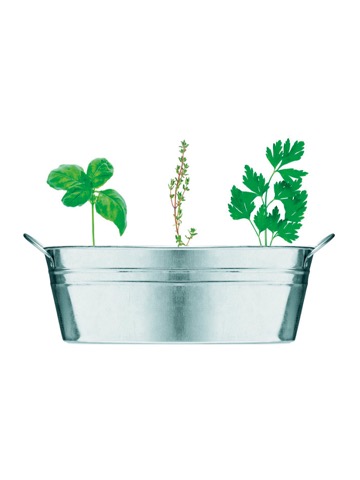 VASCHETTA PER PIANTE